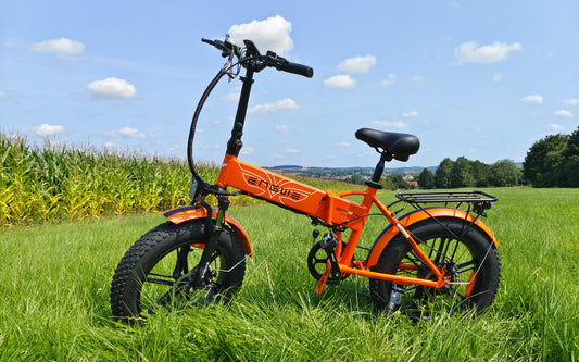 Engwe ep2 pro electric bike independent review