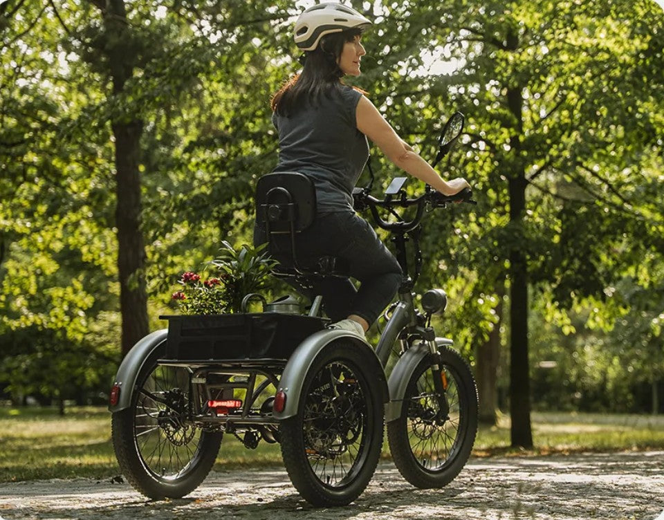 Fafrees F20 Mate Electric Bike — Compact Power for Urban Freedom