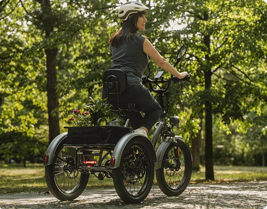 Fafrees F20 Mate Electric Bike — Compact Power for Urban Freedom