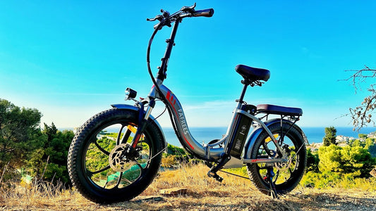 Overview of Fafrees Electric Bikes