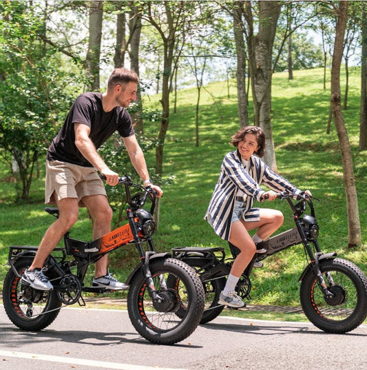 lankaleisi x3000 max