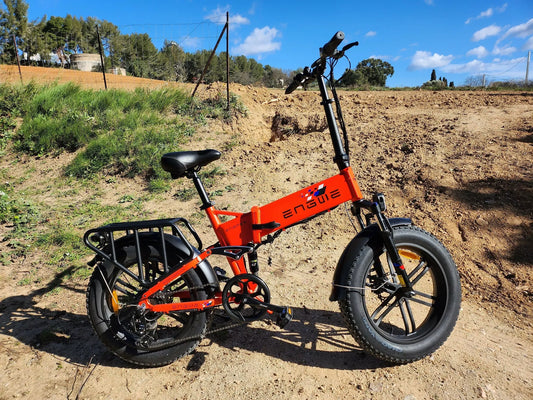 Recensione Engwe Engine X Ebike