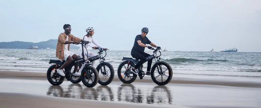 Review on Engwe X Series electric bikes