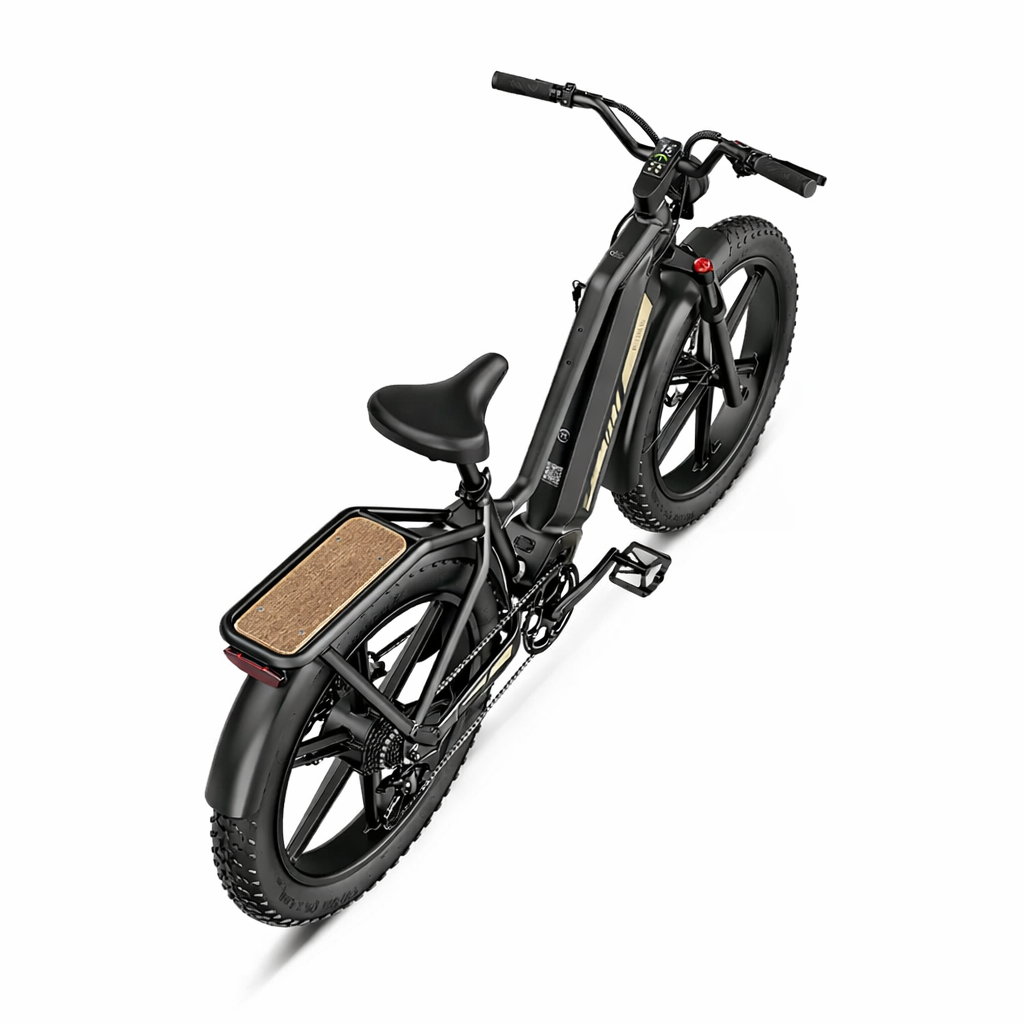 eldisto gmbh elektrofahrrad einfach de Fiido Titan Elektro Cargo E-Bike 250W mit bis zu 347 km Reichweite
