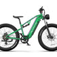 DUOTTS E26 Futuristic 750W off-road electric bike