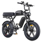 ENGWE M1 - Motorcycle style elctric bike with dual batteries