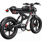 DUOTTS F20 Electric Bike | EU Direct