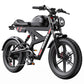 DUOTTS F20 Electric Bike | EU Direct