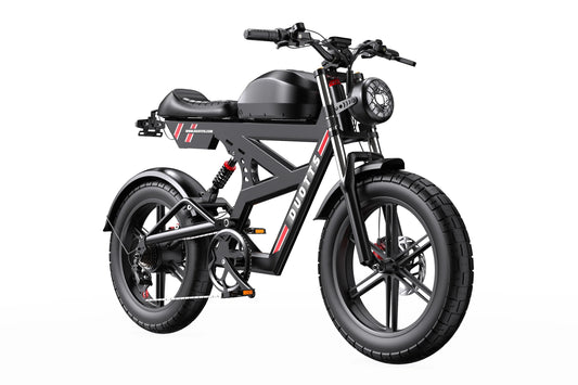 DUOTTS F20 Electric Bike | EU Direct