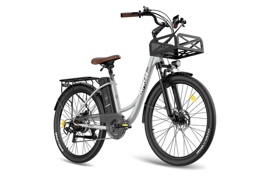 Fafrees F26 Lasting Long Range City Bike | EU Direct