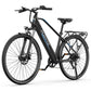 DUOTTS C29 Lite Electric Bike
