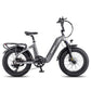 Fafrees F20 Master Carbon Fiber Ebike - epedals.eu | e-bikes revolution