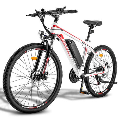 Fafrees Hailong One - epedals.eu | e-bikes revolution