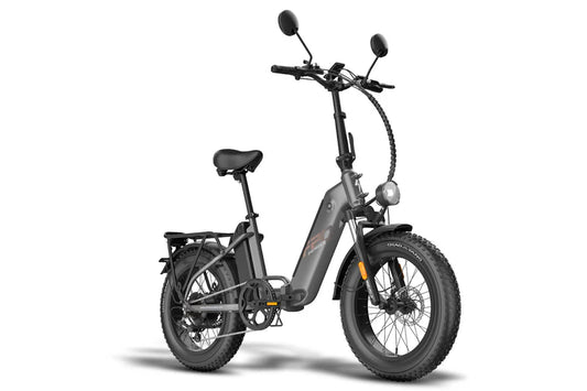 Fafrees FF Polar Dual Battery Fat Bike | L2e-P Certified  | EU direct