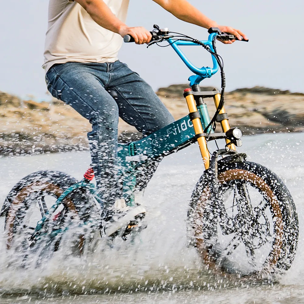 fiido m1 pro fat tire electric bike _1