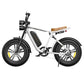 Engwe M20 Motorcycle style electric bike | EU Direct - epedals.eu | e-bikes revolution